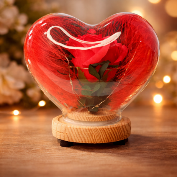 Led Işıklı Kırmızı Renk Kalp Şeklinde Fanus