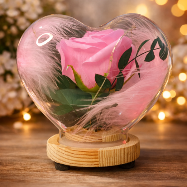 Led Işıklı Pembe Renk Kalp Şeklinde Fanus